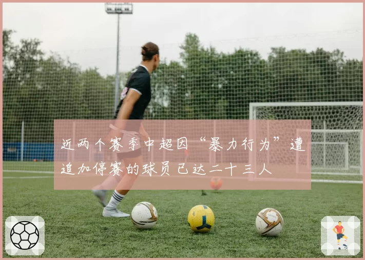 近两个赛季中超因“暴力行为”遭追加停赛的球员已达二十三人