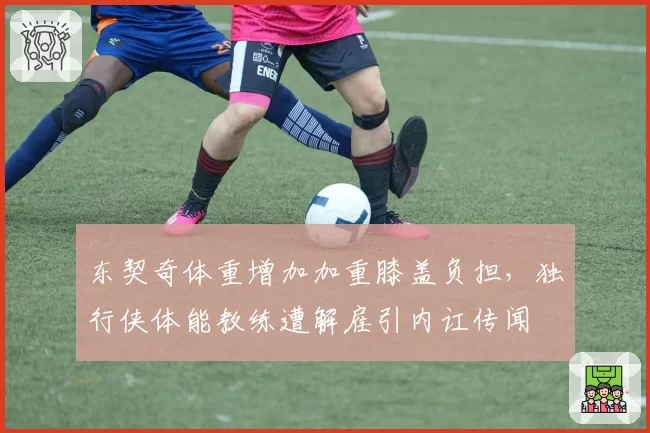东契奇体重增加加重膝盖负担,独行侠体能教练遭解雇引内讧传闻