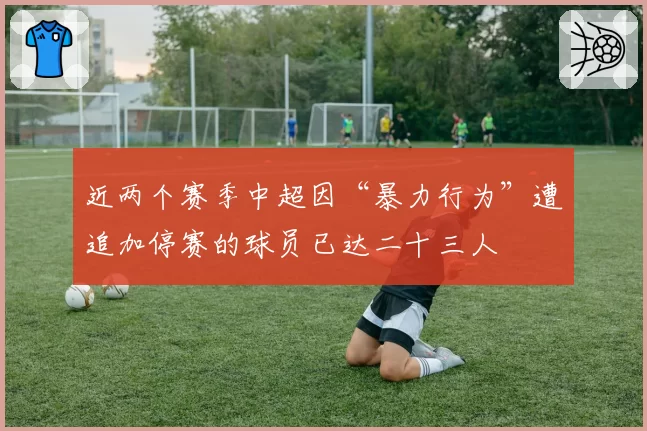 近两个赛季中超因“暴力行为”遭追加停赛的球员已达二十三人